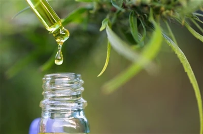 CBD ir THC: Viskas, ką reikia žinoti